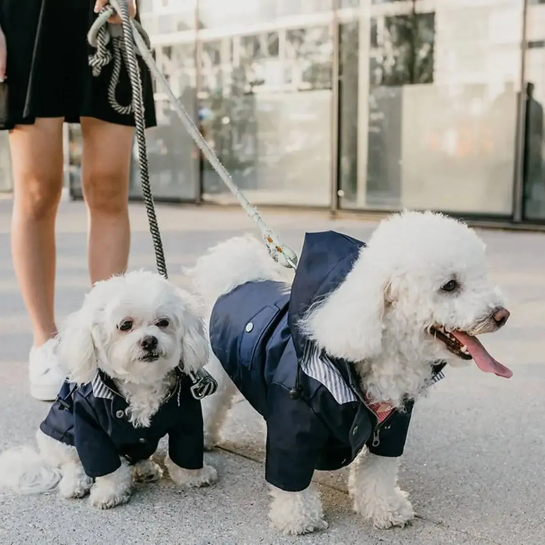 Chic Canine Fashion: Striped Hoodies for Dogs - Pet Clothes for Small, Medium, and Large Breeds, Including French Bulldogs, Yorkies, and Pugs - Stylish Windbreaker Costume PC1481