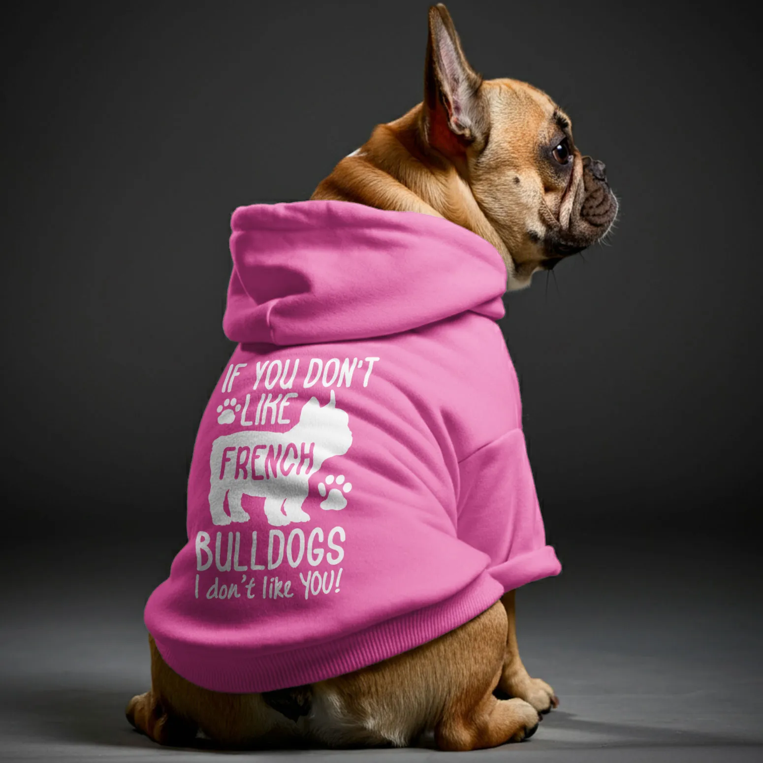 If you dont like French Bulldogs, I dont like YOU! - Personalized French Bulldog Hoodies with Funny Quotes – Stylish, Cozy, and Premium 100% Cotton