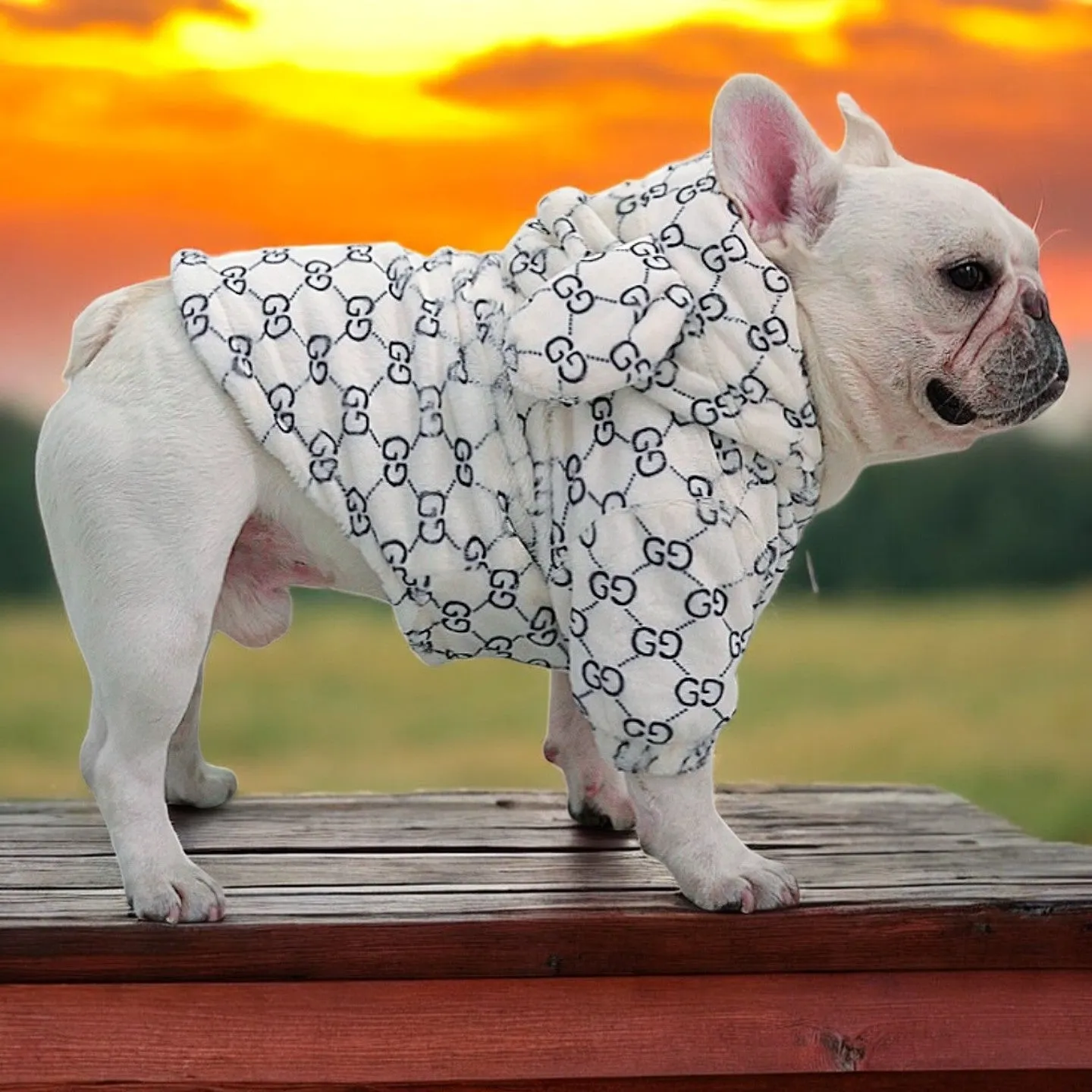 Premium French Bulldog Bear Hoodies