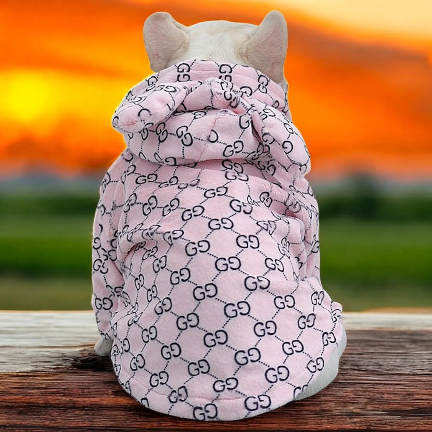 Premium French Bulldog Bear Hoodies