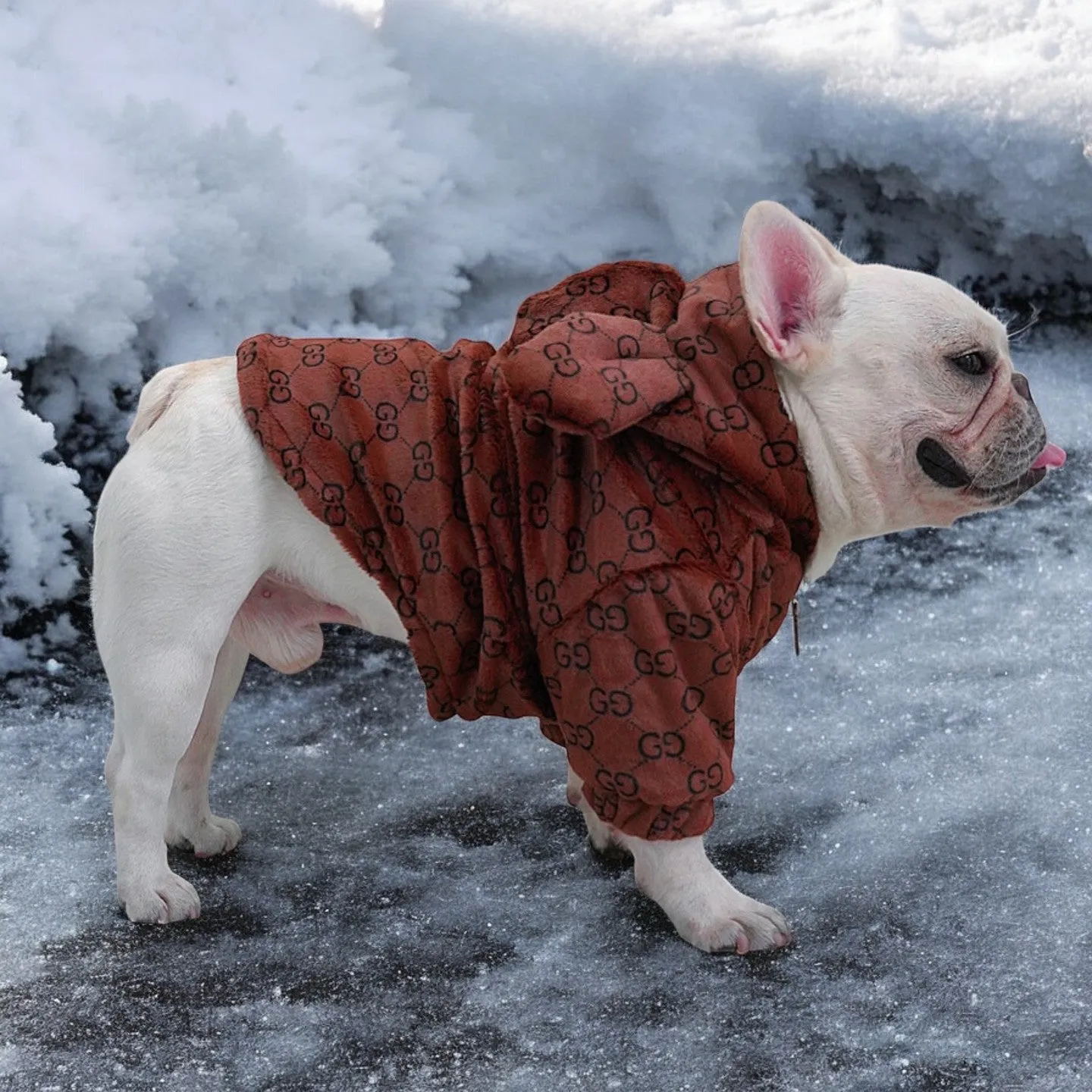 Premium French Bulldog Bear Hoodies