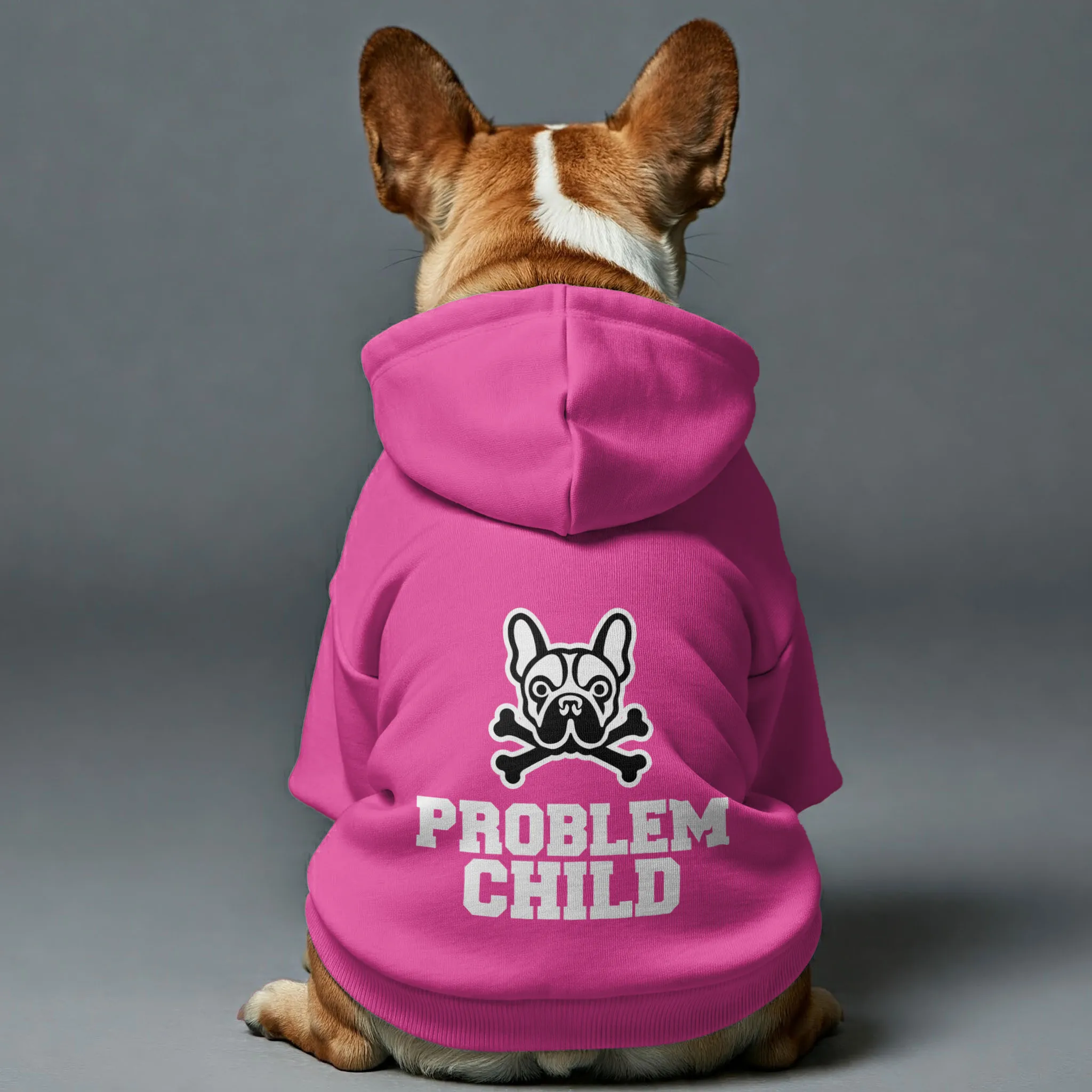 Problem child - Personalized French Bulldog Hoodies with Funny Quotes – Stylish, Cozy, and Premium 100% Cotton